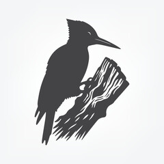 kingfisher on a branch