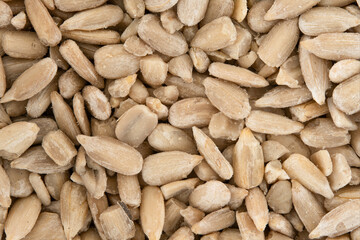 Texture of sunflower seeds as a background.