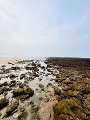 sea and rocks