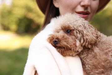 Woman with her cute dog outdoors, closeup
