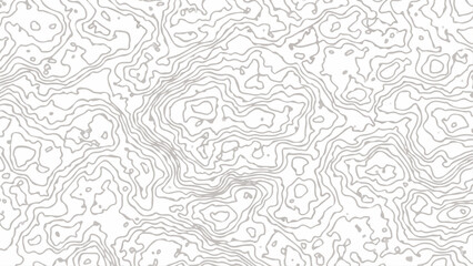 Topographic map background. Geographic abstract patterns grid. The topo contour map with stylized height. 