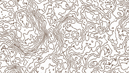Fototapeta premium Topographic map background. Geographic abstract patterns grid. The topo contour map with stylized height. 