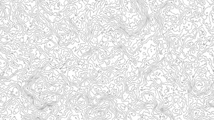 Topographic map background. Geographic abstract patterns grid. The topo contour map with stylized height. 