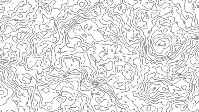 Topographic map background. Geographic abstract patterns grid. The topo contour map with stylized height. 