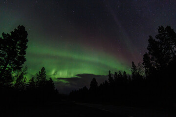 Aurora Borealis, Norhtern Lights above the trees in the Norwegian forest around the arctic circle, KP6 or KP7 solar storm. Green and red colors. Colorful aurora.
