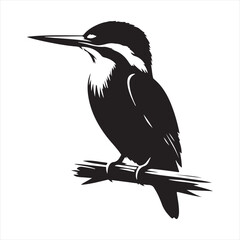 Fototapeta premium silhouette of a bird
