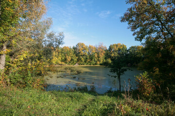 The "whispering" swamp, Nizhny Novgorod, Russia.
