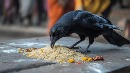 Fototapeta premium A crow feeding on grains scattered on a wooden surface in a bustling environment.