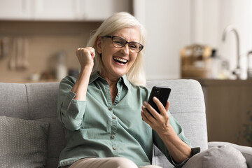 Excited middle-aged 60s woman holds smartphone, read sms with great unbelievable news, received...