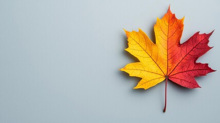 Vibrant autumn maple leaf on a light blue background, showcasing rich colors, 3D Illustration