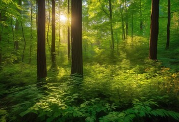 Obraz premium captivating forest canopy sunlight filtering through leaves creating dappled light shadow patterns lush green floor, greenery, trees, nature, foliage, beams