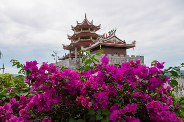 Vibrant purple bougainvillea flowers at Chinese temple Patung Seribu (Vihara Ksitigarbha Bodhisattva, 500 Lohan Temple) on Bintan Island, Indonesia, Asia. Tanjung Pinang. Buddhist traditional pagoda