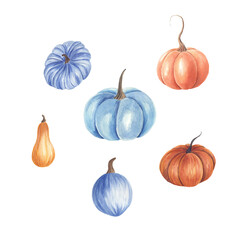 Watercolor autumn hand drawn set of pumpkins.