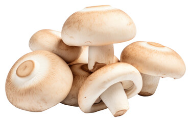 PNG Mushroom fungus agaricaceae transparent background