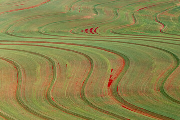 Image taken with a drone, of a field mixing plantations and native nature., on a blue day