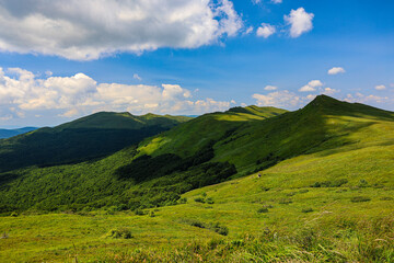 A walk in the Bieszczady National Park.