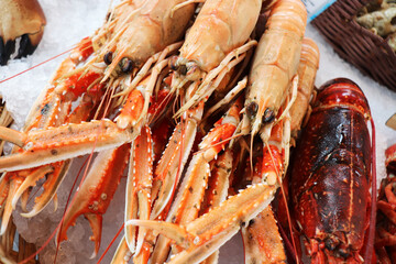 lobster isolated on white background