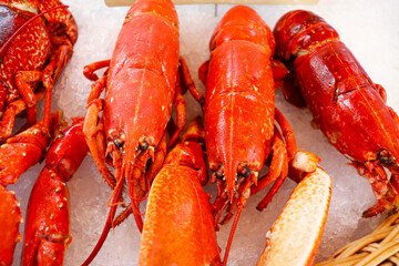 lobster isolated on white background