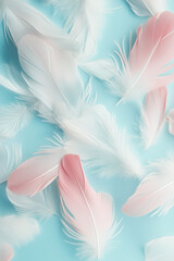 Obraz premium Texture, background for design and text in soft pastel colors. Soft white and pale pink feathers on a soft blue background.