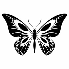 butterfly design