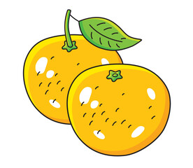 Two fresh orange fruits isolated vector illustration