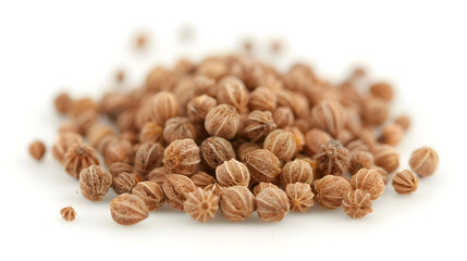 Whole Anise Seeds | Aromatic Spice with Sweet Licorice Flavor for Culinary and Medicinal Uses