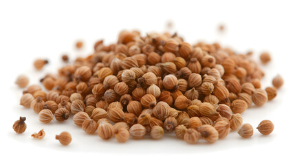 Whole Coriander Seeds Emphasising Their Round Shape | Fresh and Aromatic Spice for Culinary Use