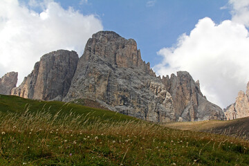 Obraz premium prateria alpina sotto il Sassolungo; Val di Fassa, Trentino
