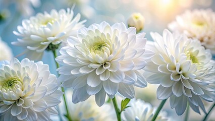 Fototapeta premium Elegant White Watercolor Flowers on Soft Background for Artistic and Decorative Design Projects