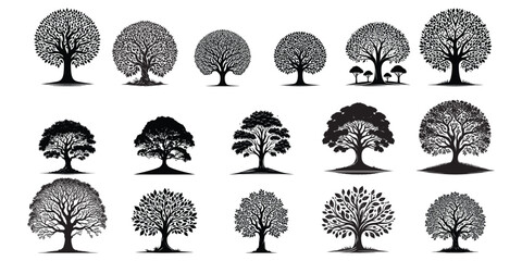 Set of 16 black tree silhouette on white background, tree vector, tree illustration, tree isolated