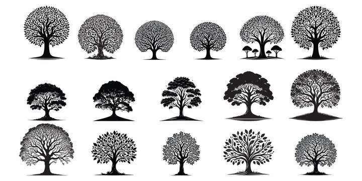 Set of 16 black tree silhouette on white background, tree vector, tree illustration, tree isolated