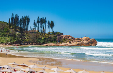 praia tropical sul brasileira a Praia da Joaquina Florianópolis Santa Catarina Brasil Florianopolis