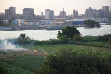The Nile bank before sunset