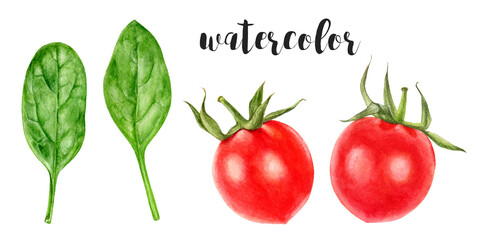 Hand-Painted Watercolor Cherry Tomatoes and Spinach Leaves Botanical Illustration