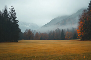 misty and foggy autumn field in the mountains with fall colored forest