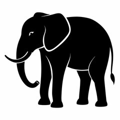 elephant illustration