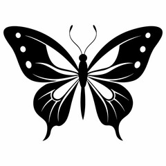 butterfly on white background