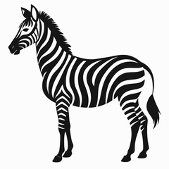 zebra vector illustration