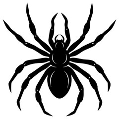 black and yellow spider