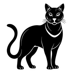 black cat cartoon