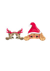 Peeking Golden Retriever puppy dog and cute cat in fancy Christmas accessories