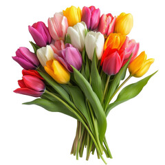 Fototapeta premium A vibrant bouquet of tulips in various colors arranged on a white background