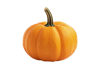 Obraz premium A carved pumpkin with a smiling face on a plain white background for Halloween decoration