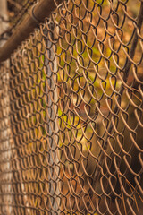 A Chain Link Fence At Sunset