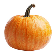 pumpkin isolated on white background