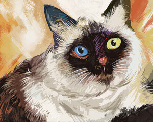 painting portrait of Unique and cute Siamese cat with blue and yellow eyes
