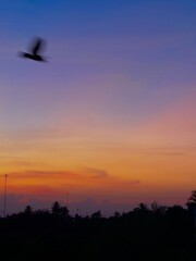 The morning atmosphere with a beautiful sunrise and birds flying across the frame.