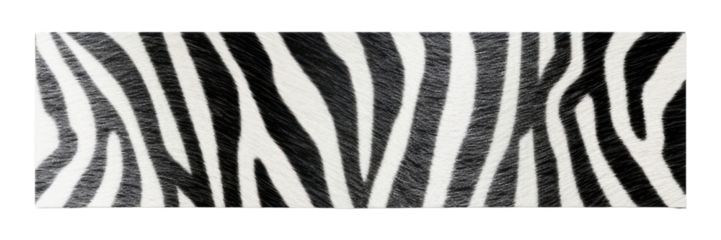 PNG Zebra pattern paper adhesive strip mammal white background accessories.