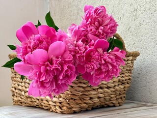 Fresh pink peonies in the wicker basket  © Natalia
