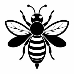 bee and flower